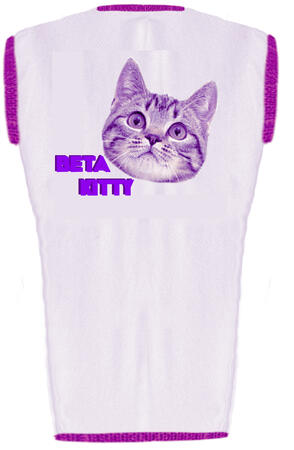 SHIRT I WANT IN KITTY REC